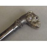 A walking stick with bronze handle in the form of a bulldog's head with a metal collar,