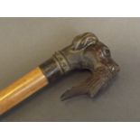 A walking stick with bronze handle in the form of a dog's head,