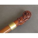 A carved wood handled walking stick in the form of a skull and snake with a brass collar,