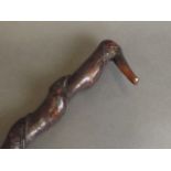 A walking stick with holly wood handle carved in the form of a bird's head,