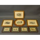 A quantity of C19th and later hand coloured prints of ducks and birds,