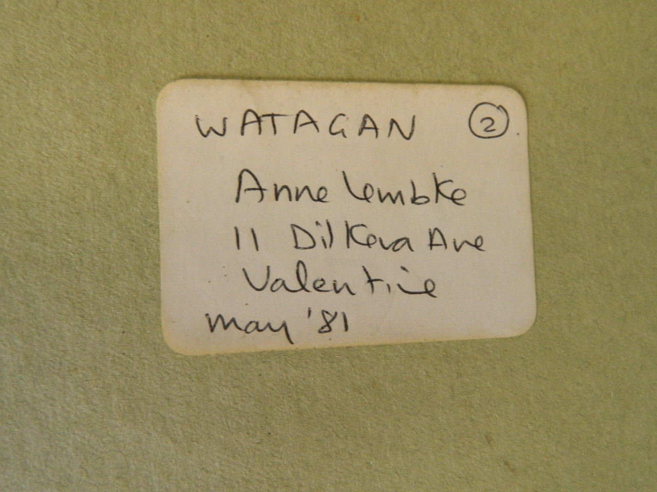 Anne Lembke, 'Watagan 1 & 2', pair of Australian oils on artist's board, 12'' x 10'' - Image 7 of 7