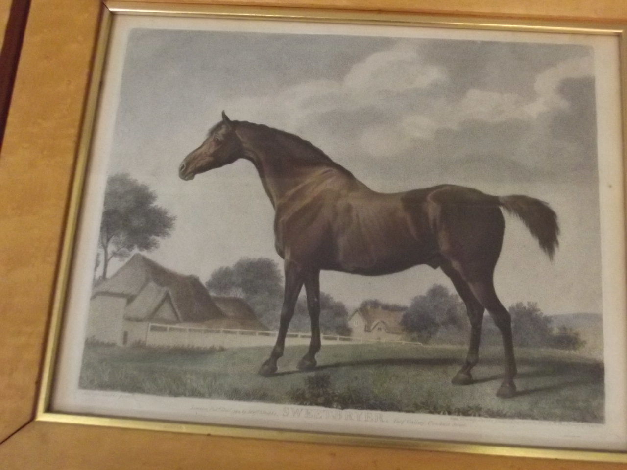 A pair of C18th Stipple engravings, 'Sweetbryer' and 'Sweetwilliam', after George Stubbs, signed and - Image 3 of 5