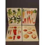 A set of four novelty metal signs depicting various vegetables, after Ernest Benary Erfurt, 12'' x