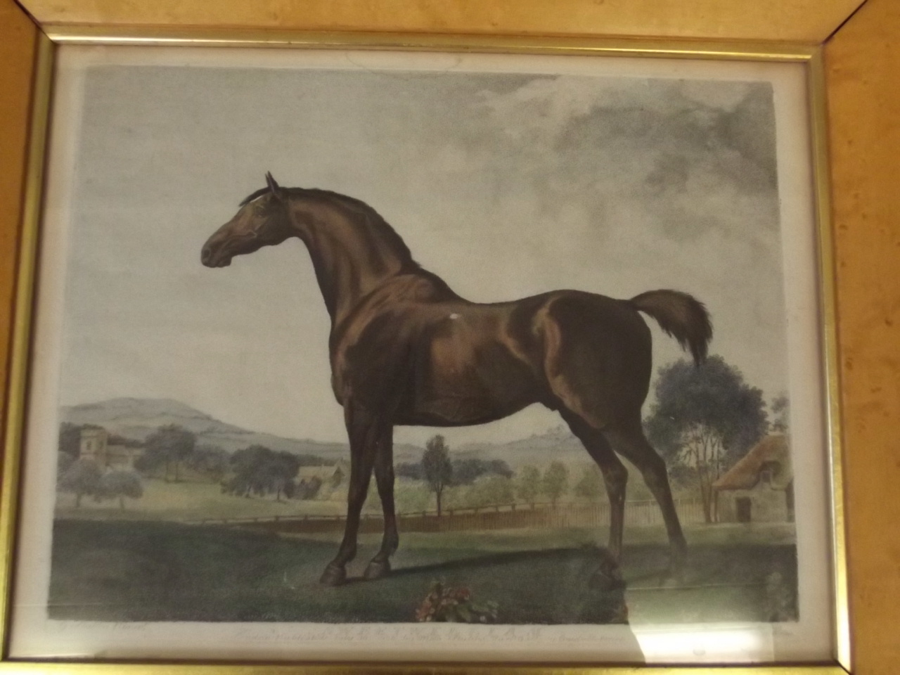 A pair of C18th Stipple engravings, 'Sweetbryer' and 'Sweetwilliam', after George Stubbs, signed and - Image 2 of 5
