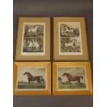 A pair of C18th Stipple engravings, 'Sweetbryer' and 'Sweetwilliam', after George Stubbs, signed and