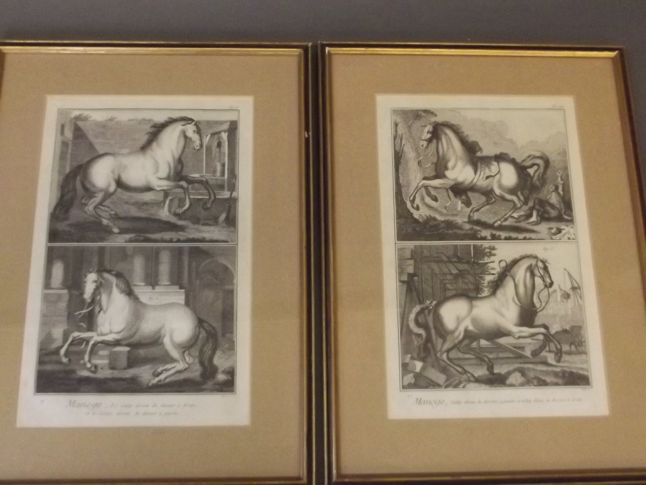 A pair of C18th Stipple engravings, 'Sweetbryer' and 'Sweetwilliam', after George Stubbs, signed and - Image 5 of 5