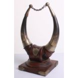 Queens Royal West Surrey Regiment Desk Ornament of wooden base with cow horns tipped with white