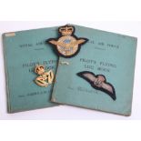 WW2 Royal Air Force Caterpillar Club Badge & Log Book Grouping to Beaufighter Pilot Flight