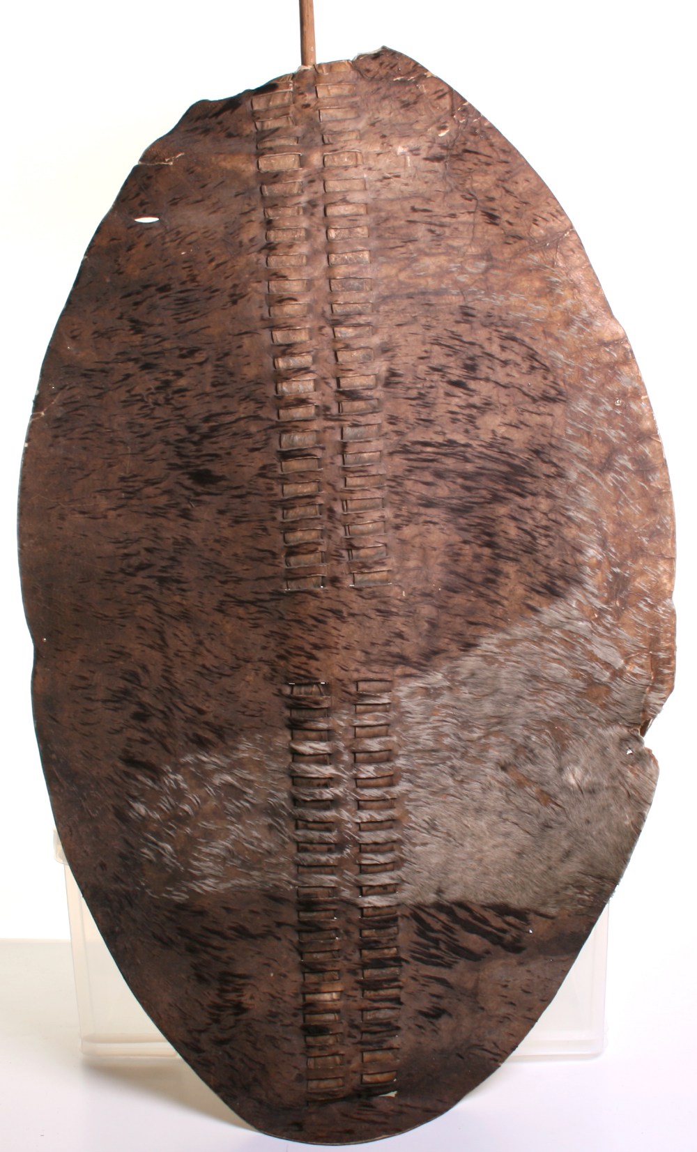 Scarce Zulu Warriors Large Fighting Shield of animal hide with remains of the brown and white animal