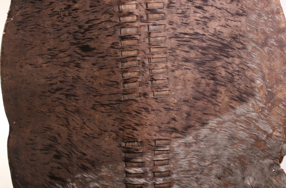 Scarce Zulu Warriors Large Fighting Shield of animal hide with remains of the brown and white animal - Image 2 of 6