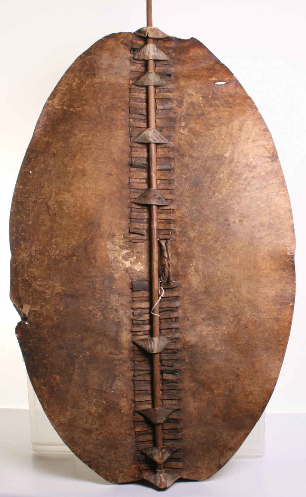 Scarce Zulu Warriors Large Fighting Shield of animal hide with remains of the brown and white animal - Image 5 of 6