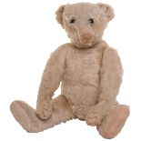 White mohair Steiff Teddy bear with blank button, circa 1905, with black boot button eyes, brown