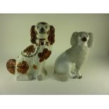 Victorian Staffordshire spaniel with cop