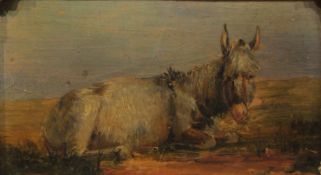 Continental School (19th century): Recumbent Donkey, oil on board unsigned 8cm x 14cm