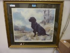 Black Labrador, John Tricket limited edi
