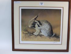 Rabbit Portrait, limited edition prinr s