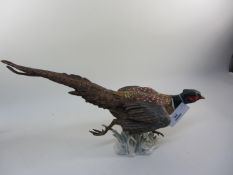 Goebel bisque pheasant L46cm