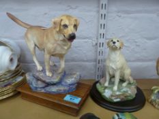 Albany Labrador modelled by Neil Campbell and a Best of Breed model of a golden retriever