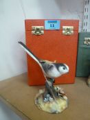 Royal Crown Derby 'Long Tailed Tit' (boxed)