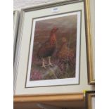 Grouse in Moorland landscape,