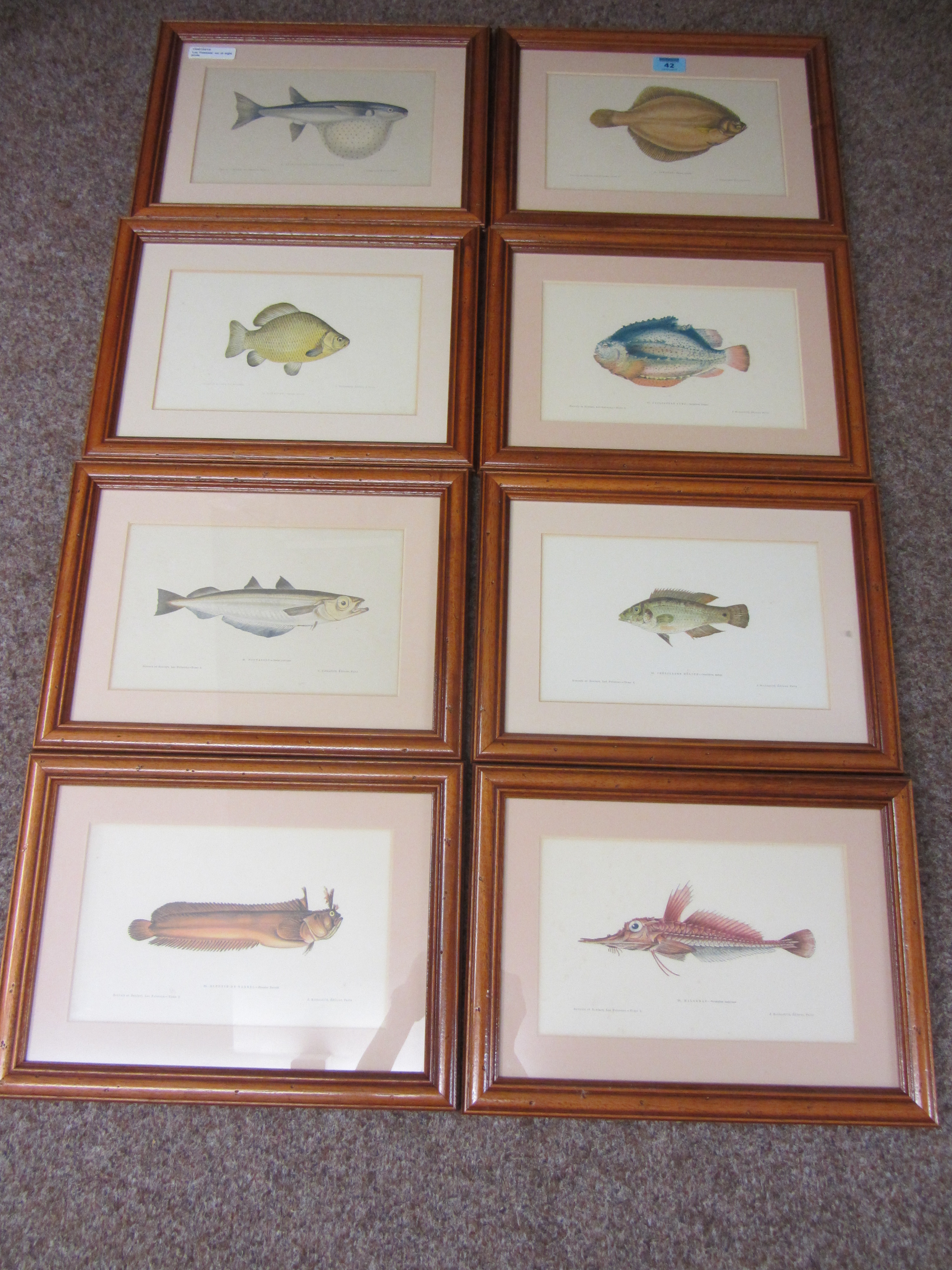 'Les Poissons' set of eight coloured engravings after Gervais et Boulart pub.