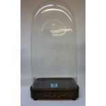 19th century glass dome with inlaid base 63cm overall Condition Report Approx 56cm height inside,