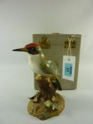 Royal Crown Derby Woodpecker painted by CD Slack date code XXXI 15cm (boxed)