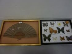 Framed collection of butterflies and a framed fan (2)