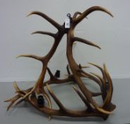 Red Stag antler chandelier H83cm  Condition Report PLEASE NOTE - not wired for