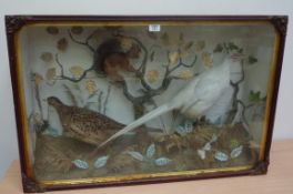 Taxidermy - 19th/early 20th century display case containing pheasants,