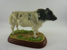 Border Fine Arts Studio Belgian Blue Bull on wooden base L18cm (boxed)