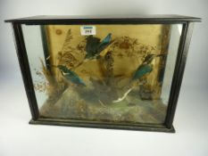 Taxidermy - 19th/early 20th century glass display case containing three kingfishers in a