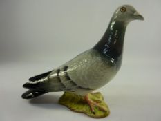 Beswick pigeon,