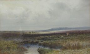 English School (Early 20th century): Moorland Scene with Lone Figure and Sheep,