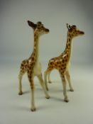 Two Beswick giraffes