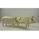 Two Beswick pigs - 'CH Wall Champion Boy 53' and 'CH Wall Queen 40''