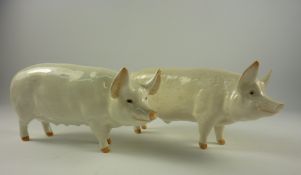 Two Beswick pigs - 'CH Wall Champion Boy 53' and 'CH Wall Queen 40''