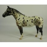 Beswick Appaloosa horse (striped hooves)