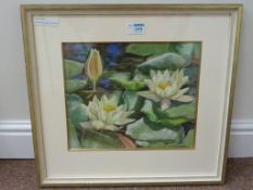 Study of Water Lillies,