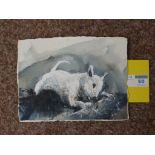 Study of an English Bull Terrier,