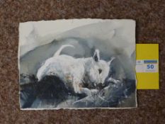 Study of an English Bull Terrier,