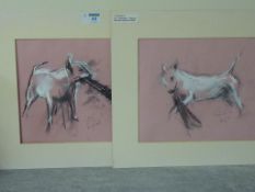 Studies of an English Bull Terrier, pair