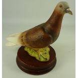 Beswick matt pigeon, impressed marks 1383,
