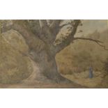 'Knightwood Oak - New Forest',