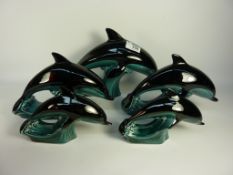 Five Poole dolphins L27cm diminishing