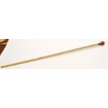 A graduated fish vertebrae walking cane with a turned wood handle, length 90.5cm.