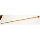 A graduated fish vertebrae walking cane with a turned wood handle,