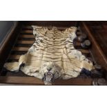 An early 20th century tiger skin rug with the head attached and lined. Length including head, but