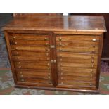 A collectors pine cabinet with two tiers of eleven drawers behind glazed doors,